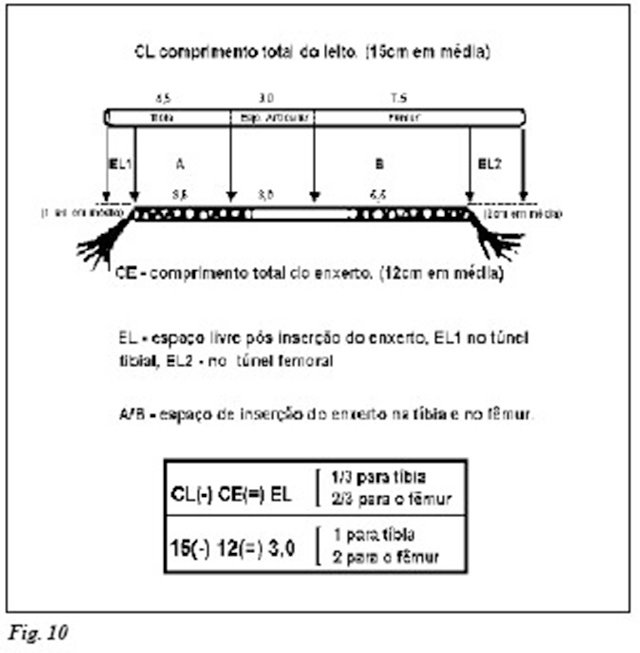 comprimento total do leito (fig 10)